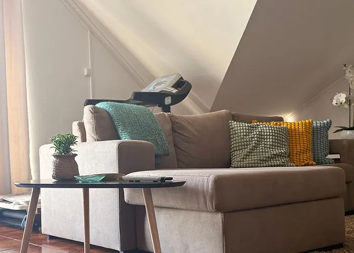 Por Do Sol Criacao Velha